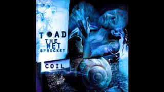 Toad The Wet Sprocket -  Dam Would Break