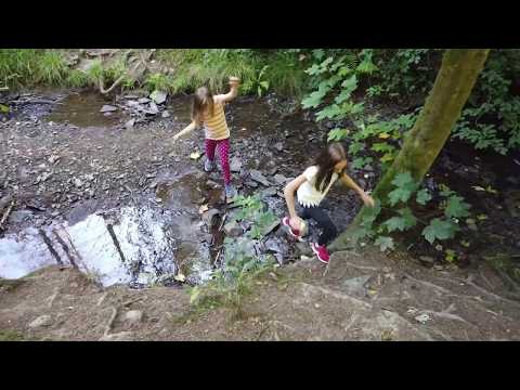 Wildwiesenweg mit Fotosafari