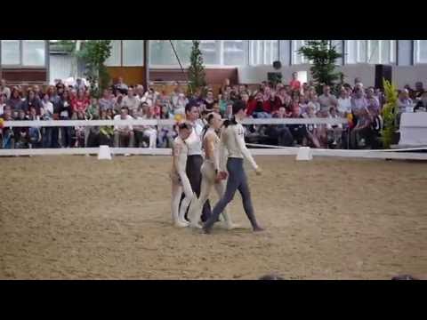 Weser Ems Meisterschaft (WEM) in Lohne 2016 - Kür Team Gut Stockum (Sonntag)