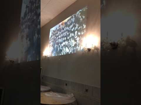 The ‏Belzer Rebbe  Live Broadcast from London , Europe