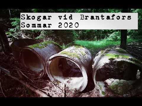 SKOGAR nära BRANTAFORS och MYSTISKA HUS - 200707 - Kallinge - RONNEBY - Huawei P30 PRO