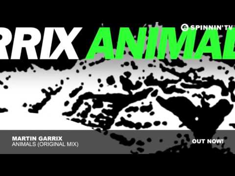 Mash up Animals Martin Garrix and Kygo I see fire and let her go