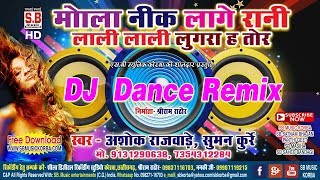 Ashok Rajwade-CG DJ Remix-Mola Nik Lage Rani Lali 