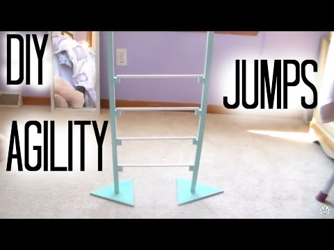 Part of a video titled DIY Rabbit Agility Jumps - YouTube