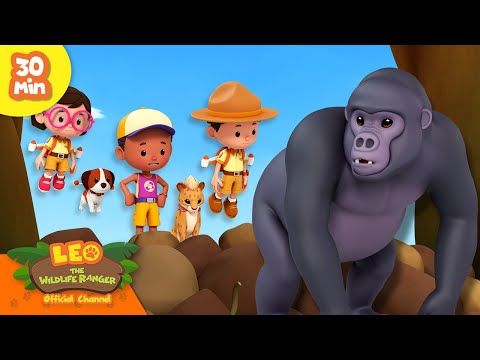 Witness21 Editor  2024 08 08