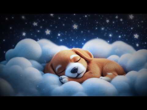 Fall Asleep in 20 Minutes with SOFT NOISE and Relaxing Lullaby ♫ BABY SLEEP MUSIC ♫
