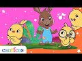 Canticos Dónde Están Los Pollitos Chickie Hide Seek Chicken Dance Aprende Inglés