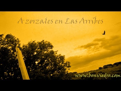 CAZA de ZORZALES (Malviz) | THRUSH SHOOTING | CHASSE GRIVES | CACCIA TORDI | CAÇA TORDO