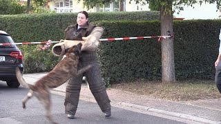 preview picture of video 'Bad Vilbel - die Hundestaffel der Wetterauer Polizei'