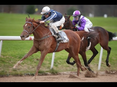 Dortmund: Preis des European Breeders Fund (D) - Sieger: Opus Lips