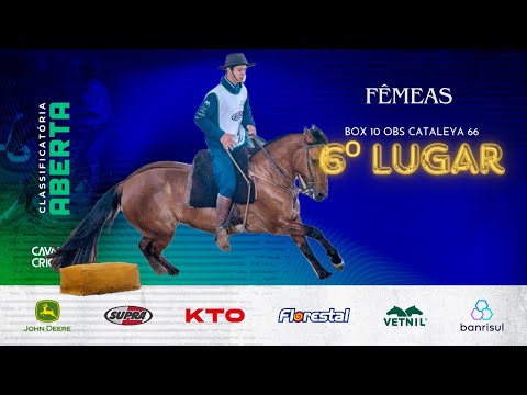 6ª FÊMEA - OBS CATALEYA 66 - Classificatória Aberta(Esteio)