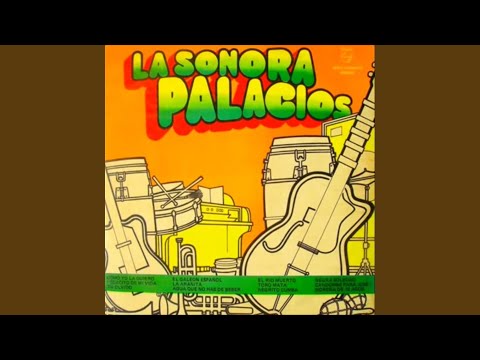 Pedacito De Mi Vida video