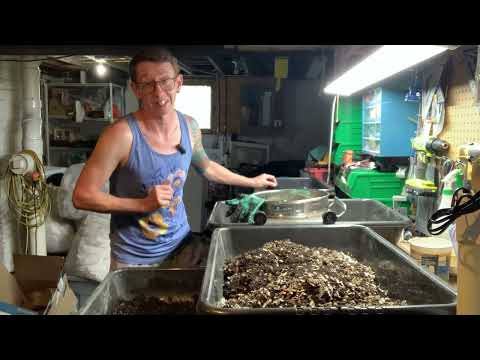 Breeder bin updates and current experiment