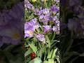 AND JUST LIKE THAT #spring #flowers