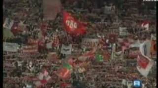 preview picture of video 'Il Bari torna in Serie A nel 2009, video tributo. L'ORIGINALE!!!'