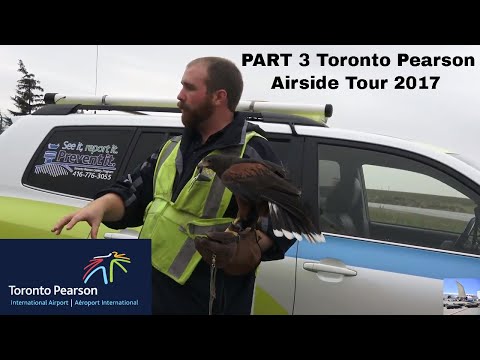 PART #3: Last Airside Tour Fall 2017 Toronto Pearson Airport (October 14 2017)