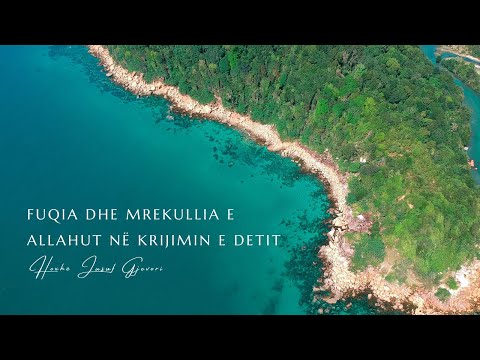 Fuqia dhe Mrekullia e Allahut ne Krijim e Detit / Hoxhë  Jusuf Gjevori