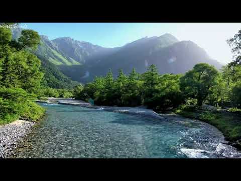 Beautiful river sounds, birds chirping, best sounds of nature in the mountains, ASMR