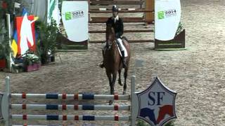 preview picture of video 'Fabrice Lyon et Nectar Du Murier - CSI* Saint Lô Grand Prix 2011'