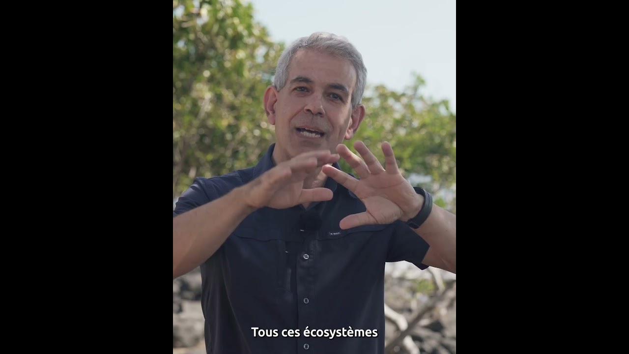 La côte ce n'est pas la plage