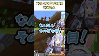 ニワトリに見下されるぺこちゃん【兎田ぺこら/ホロライブ切り抜き/#ホロドラゴンマイクラ /#shorts】