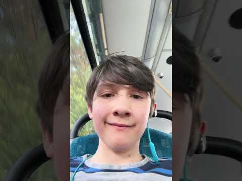 Alfie likes gorilla punching tourist