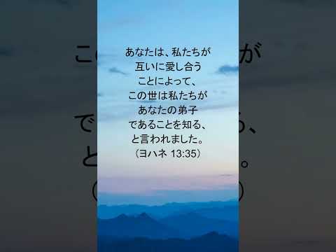 動画を再生