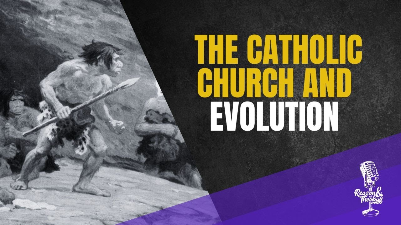 What do Catholics believe about evolution?