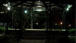 St. James Park at Night | www.torontorealtyblog.com with David Fleming