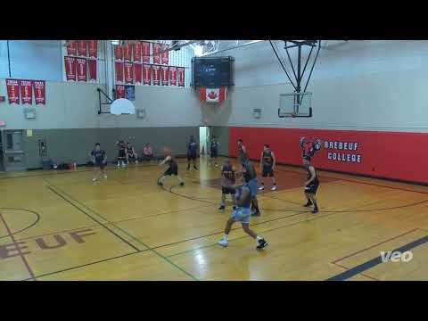 Sheesh vs Red Storm - Sunday tier - tcbl 2022 summer