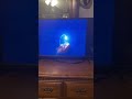 Finding Nemo 2003 Anglerfish Scene VHS Capture
