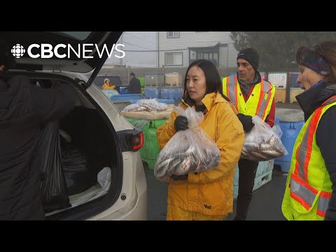 15th annual herring sale raises thousands for B.C. Children’s Hospital