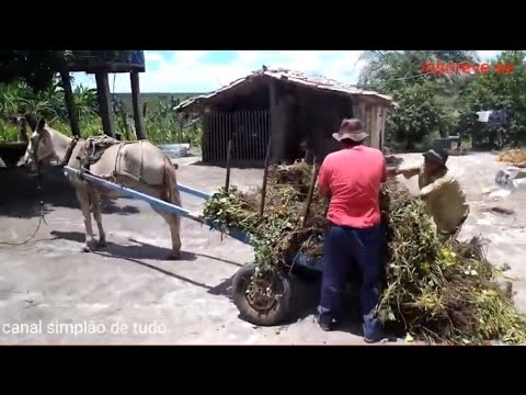 Minas Gerais is impossible to forget. Hospitable people.