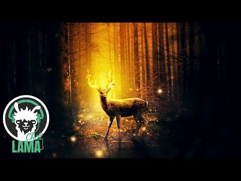 Douglas Spotted Eagle - Closer Still | Best New Age Piano Music