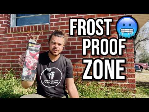 Hack Your Climate: Grow Plants Outside of Your Zone!