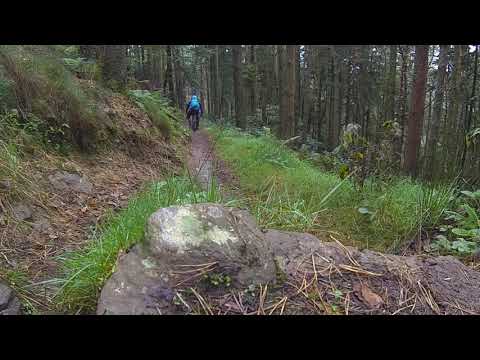 Nicolai G19 GeoMetron