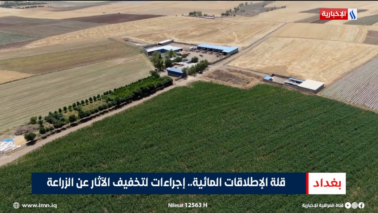 فيديو | قلة الإطلاقات المائية.. إجراءات لتخفيف الآثار عن الزراعة | تقرير محمد العيداني