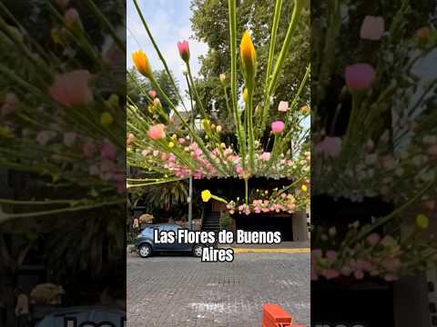 Las flores de Buenos Aires