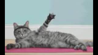 hi gif