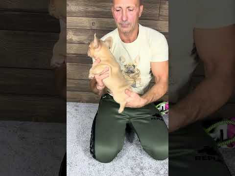 Video 2
