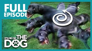 Thumbnail del capítulo