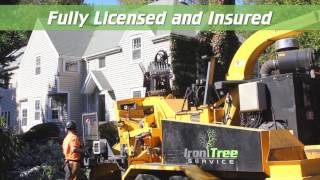 Iron Tree TV Commercial (Spring 2016 V1)