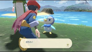 食べる姿カワイイ！サブ任務55「はらへりポッチャマ」ムービー【Pokémon LEGENDS アルセウス】