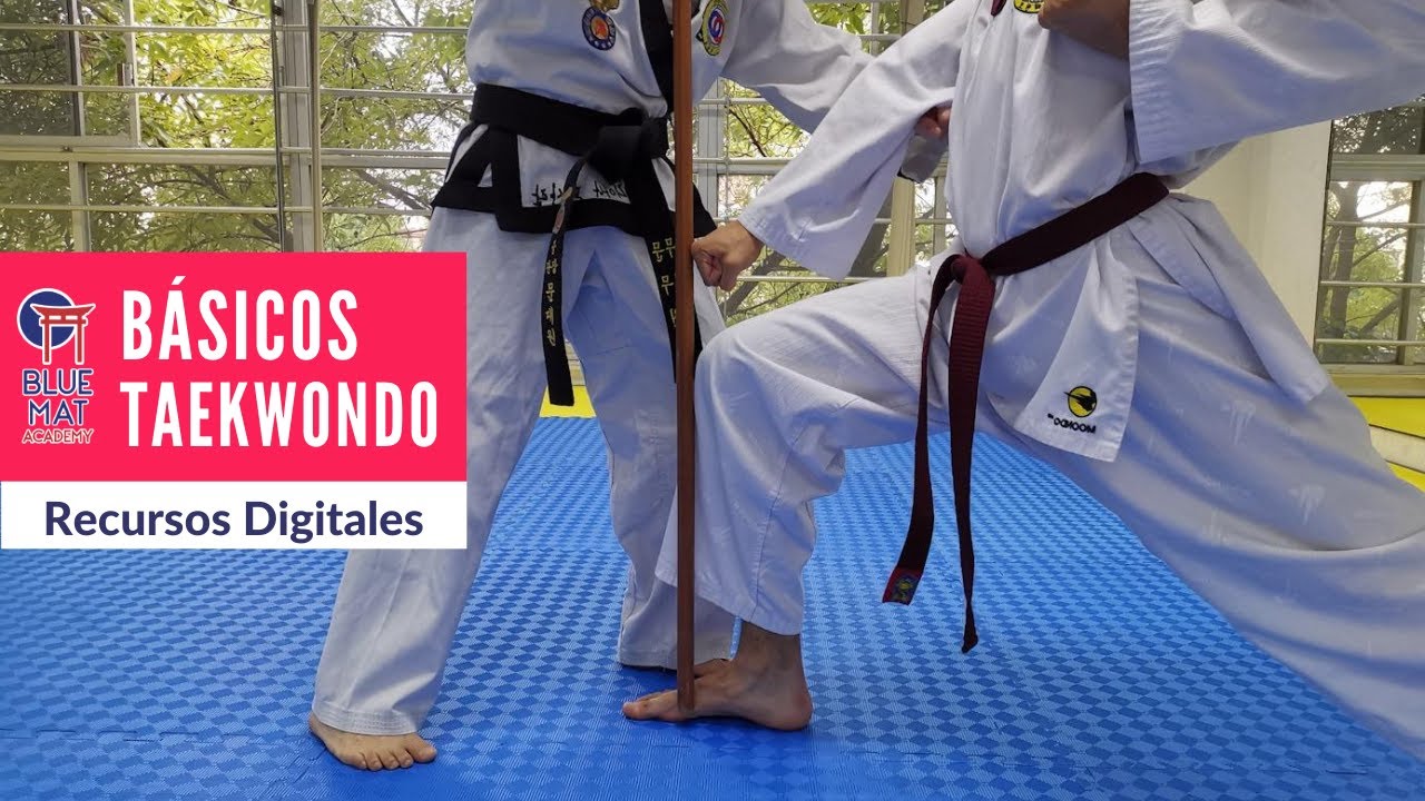 Defensa baja Taekwondo #BlueMatAcademy