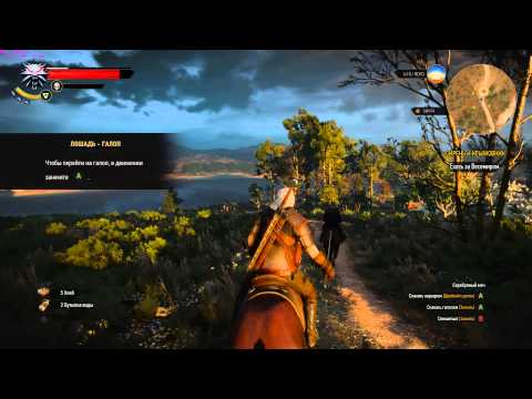 witcher3 2015 05 31