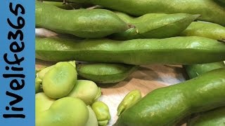 How to...Eat Fava Beans