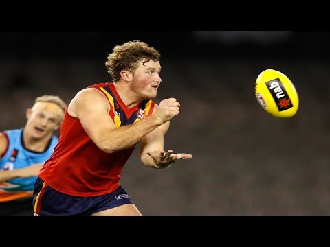 Draft Prospects: Will Gould | AFL