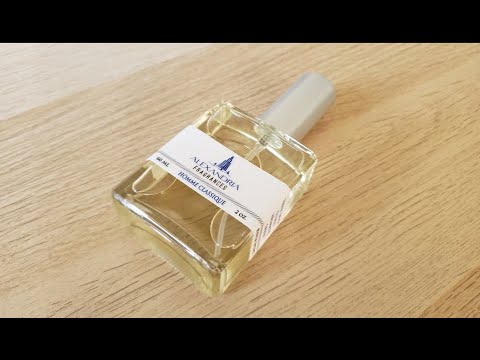 Alexandria Fragrances: Homme Classique - VS - YSL L'homme