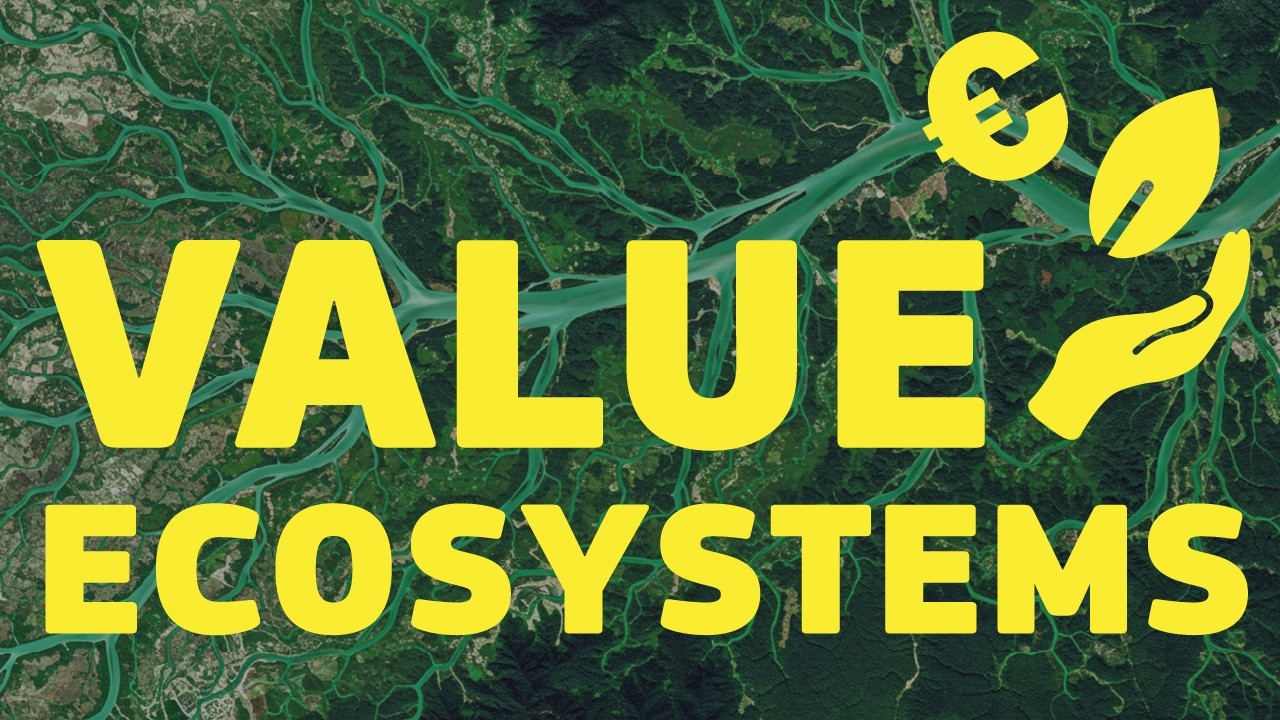 How to value and account for ecosystems