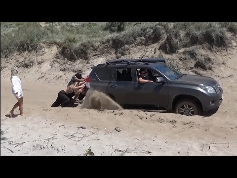 BOGGED AT FRASER ISLAND